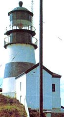 Disappointment-Lighthouse-1
